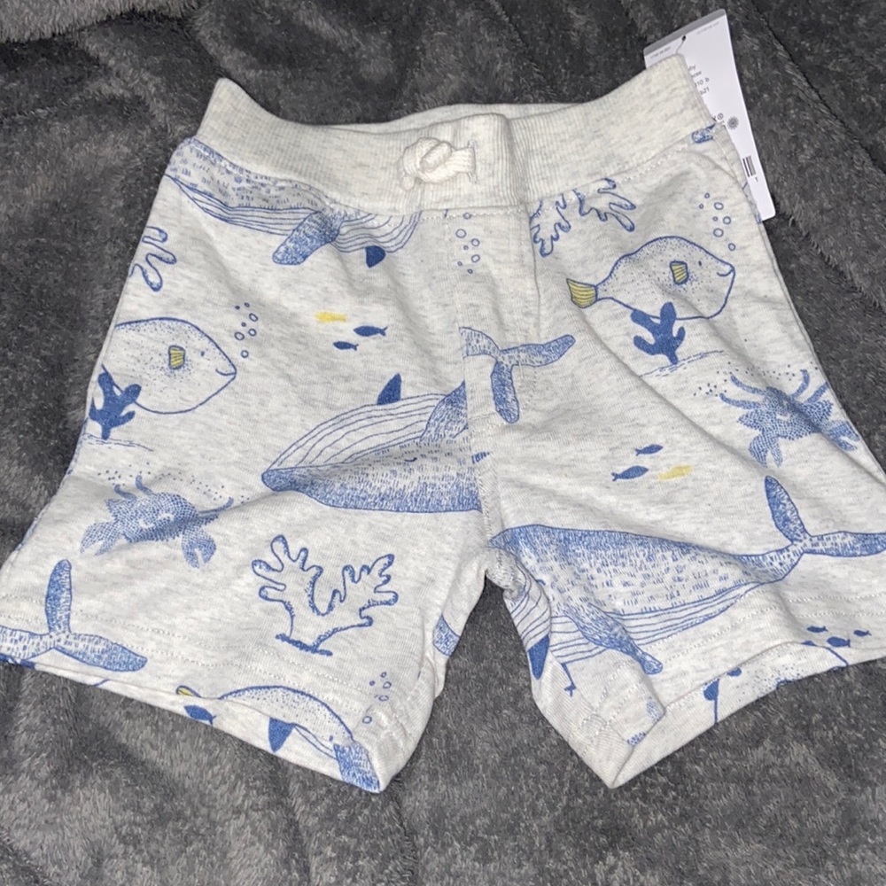 12M NWT Carters Shorts